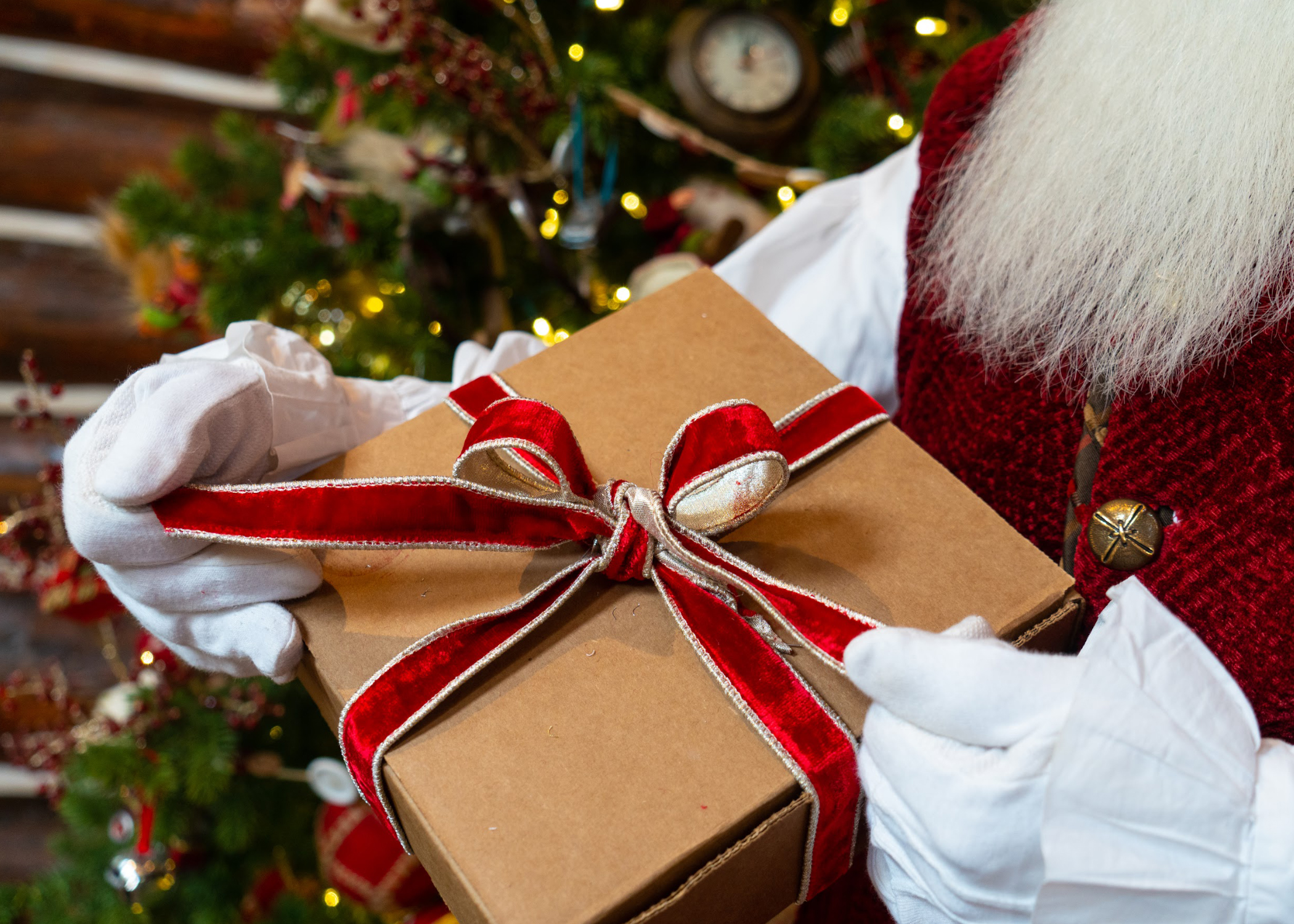 VIP Christmas Experience 2022 – SkyPark at Santa’s Village Gift box